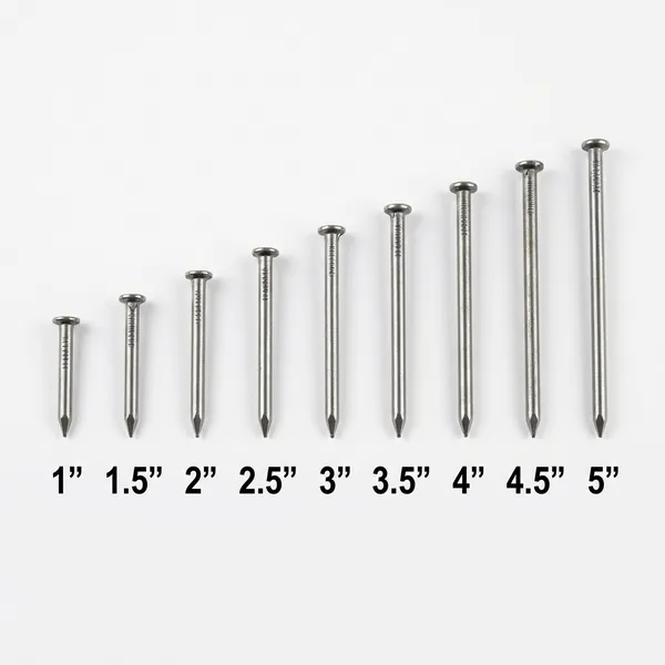 Common Steel Wire Nails
